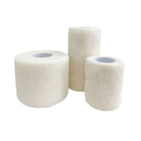 Bandage élastique flexible auto-adhésif respirant à la chlorhexidine jetable LTB Marque 2,5 cm X 4 m Unisexe