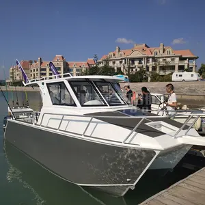 Factory Sales 8.8M 29ft Aluminium Twin Romp Boot Vissersboot Catamaran Boot
