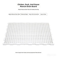 Panneaux de sol en plastique PP pour volailles, mailles de drainage des excréments de poulet, tapis d'élevage pour canards et oies, équipement antidérapant épaissi