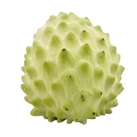 Premium Natuurlijke Zuurzak Fruitpoeder Zuurzak Vruchtensap Poeder
