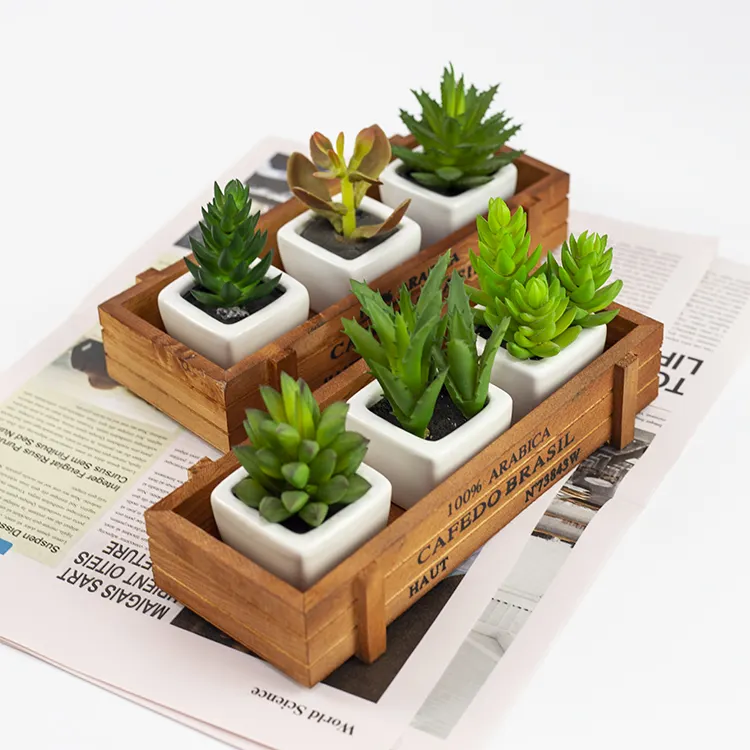 Bureau populaire fausses plantes en pot décoratives en plastique mini bonsaï succulent artificiel en gros BSCI BEPI