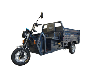 Triciclo OEM Personalizable de 1000W para Adultos, Fabricado en Fábrica, Carrocería Abierta, Voltaje de 60V, Opción de Carga Disponible - Product Image 4