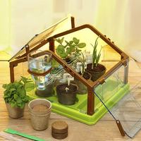 Kit de culture d'herbes modernes en PVC écologique et léger avec pots de démarrage DIY pour jardin bonsaï, pour usage intérieur (sol/bureau) avec arrosage