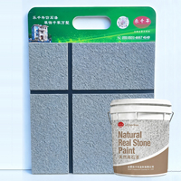 Peinture de pierre naturelle couleur sable, texture marbre rugueuse, revêtement mural extérieur en spray pour la décoration de bâtiments et villas en extérieur