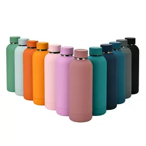 Eco-Friendly 500ml Vacuum Insulated Stainless Steel Water Bottle with Lid Customizable Logo for Kids Schools Metal Drinkware