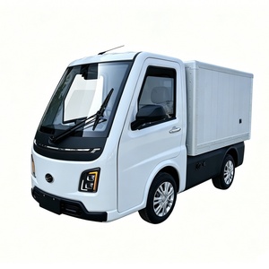Vehículo Eléctrico de 4 Ruedas Runhorse TEV, Conducción por la Derecha, Auto Eléctrico para Adultos, 2 Asientos, Mini Camioneta Eléctrica para el Mercado Europeo - Product Image 4