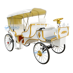 Carrosse de Victoria électrique pour le tourisme et les mariages, transport spécial, prix usine, à vendre - Product Image 4