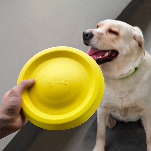 DEMI Eco-Friendly EVA Flying Disc for Dogs-Interactive Chew Toy 21cm Size Outdoor Use