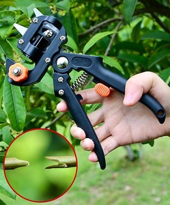 Outils de jardin professionnels 2 en 1, sécateur de greffage d'arbres, greffage avec lames de rechange, sécateur de jardin - Product Image 2