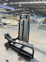 A021 Machine d'extension dorsale Appareil de presse pour jambes Chine Équipement commercial de gymnastique/Fitness et musculation Équipement de fitness