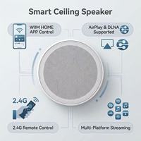 Speaker Langit-langit Nirkabel Rumah Tangga dengan Amplifier Terintegrasi, Sistem Audio DLNA, Mendukung WiFi, BT, USB, Airplay, Multi-room, dan Remote Control