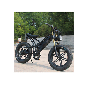 Bicicleta de Cross eléctrica de neumático ancho para adulto, bici con batería de 48v y 750w, para nieve, todoterreno, barata - Product Image 5