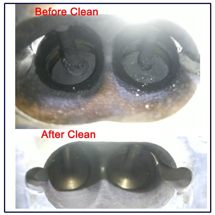 nut cleaning machine