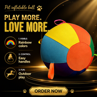 Balle géante gonflable simple en polyester arc-en-ciel pour l'entraînement des chiens et les jeux en extérieur