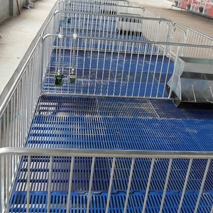Suelo de Plástico con Rejillas Anti-Mordidas y Estructura Irrompible, Rejilla de Plástico para Cría de Lechones y Cerdas - Product Image 5