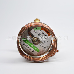 Vanne d'expansion Emerson XB-1019CL-2B à équilibrage externe pour évaporateur réfrigérant R22 bidirectionnelle - Product Image 4