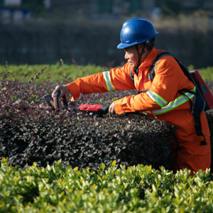 เครื่องตัดขอบลิเธียม N + PLUS เป็นมิตรกับสิ่งแวดล้อมเครื่องตัดป้องกันความเสี่ยงชาร์จไฟได้แบบพกพาที่มีประสิทธิภาพ - Product Image 4