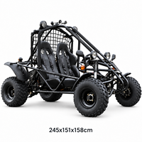 Kart à essence sportif pour adultes 200cc 11kW, refroidissement par air, démarrage électrique, freins à disque avant et arrière, transmission par chaîne, pour pistes tout-terrain