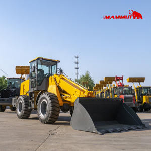 MAMMUT รถตัก Euro5 Eap4 CE ใหม่ <span class=keywords><strong>Tl3000</strong></span>รถตักขนาดเล็กสำหรับรถตักเพื่อการเกษตรบริการปรับแต่งได้เอง - Product Image 2