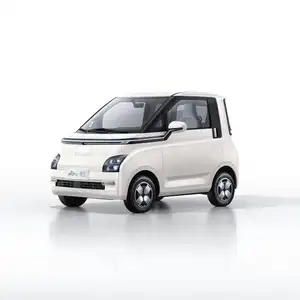 Rentable 2022 nouvelle voiture électrique intelligente Wuling Hongguang Air Qingkong EV Mini EV