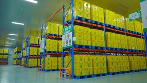 พุทราแดง/พุทราแห้ง/สีแดงวันที่ทอดแห้งสีแดงผลไม้ดิบอบแห้งขายส่งขนมขบเคี้ยว - Product Image 6