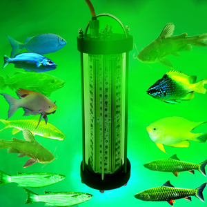 Luces LED Verdes Sumergibles IP68 de 500W para Pesca de Calamar, <span class=keywords><strong>Gadus</strong></span> y Atún, Atracción de 150m de Profundidad, Uso Marino - Product Image 2