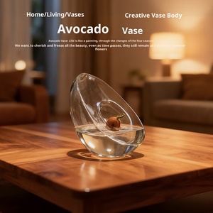 <span class=keywords><strong>Vase</strong></span> hydroponique moderne en verre en forme d'<span class=keywords><strong>avocat</strong></span> conteneur de plantation et de culture de graines <span class=keywords><strong>Vase</strong></span> spécial Pot jardinage - Product Image 3