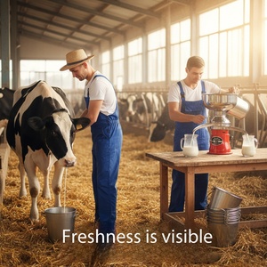 Séparateur de crème de lait électrique direct usine en acier inoxydable, décanteur centrifuge pour la transformation laitière en ferme - Product Image 3