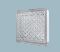 Decorative Hollow Glass Block Brick Interior Wall Partition Window Modern Design for Bathroom Living Room Facade