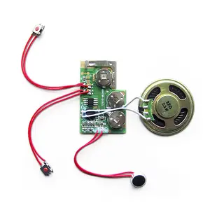 30s recordable human voice recording module with mini microphone for Mother's Day DIY voice message paper giftcard