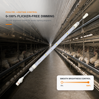 Lampe LED Plug and Play pour volailles 48V DC IP67, tube lumineux dimmable avec prises faciles et clips spéciaux pour systèmes de cages à poulets