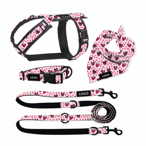 Roupa para Cães OEM Suprimentos para Animais de Estimação com Logo da Marca Personalizado Impresso Roupas de Luxo Fofas para Cães Camiseta para Filhotes - Product Image 2
