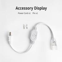 Kit d'accessoires pour bande lumineuse LED 220V avec prise secteur n°11, redresseur à broches en cuivre IP22 pour utilisation avec éclairage néon
