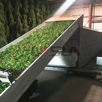 Machine de séchage de fleurs de chanvre CBD à moteur automatique et pompe, avec bande transporteuse en maille de titane multicouche en acier inoxydable continu, pour la transformation alimentaire