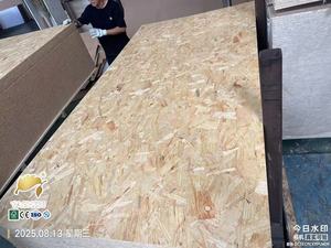 <span class=keywords><strong>2025</strong></span> thông gỗ osb Bảng điều chỉnh ván không thấm nước osb 3 Hội Đồng Quản trị 1220*2440 mét cho xây dựng - Product Image 4