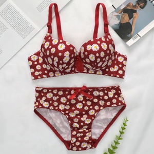 <span class=keywords><strong>Sujetador</strong></span> <span class=keywords><strong>push</strong></span>-<span class=keywords><strong>up</strong></span> para mujer, ropa interior con aros y estampado en caliente, nuevo diseño de fábrica personalizado de buena calidad - Product Image 6