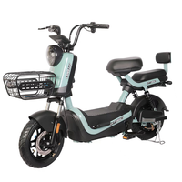 Vélo électrique en gros à cadre en acier, 6 tubes, contrôleur, pneus larges de 10 pouces, trottinette électrique puissante 40 km/h, batterie au plomb-acide/lithium 48 V