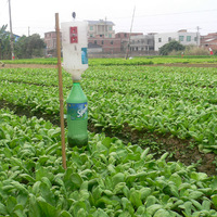 Piège liquide efficace pour les vers de tabac (Spodoptera litura) – Solution agricole écologique pour serres et extérieurs