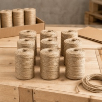 Corde en jute naturelle tressée vintage en gros pour le jardinage, l'artisanat, l'escalade des chats et la décoration