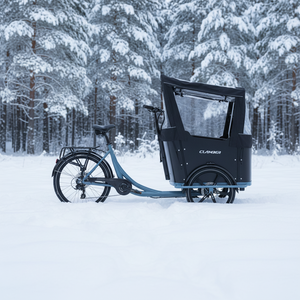 Vélo <span class=keywords><strong>cargo</strong></span> familial néerlandais à 3 roues, moteur arrière 250W, cadre en acier, batterie lithium électrique 36V 15Ah, capacité de charge 150kg, porte-bagages arrière - Product Image 1