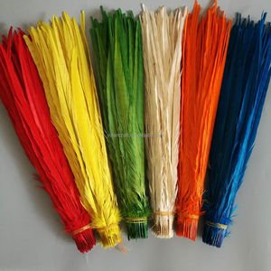 <span class=keywords><strong>Plumas</strong></span> de Faisán Anillado Blanqueadas y Teñidas al por Mayor, <span class=keywords><strong>Plumas</strong></span> de Cola para Decoración de Fiestas de Carnaval - Product Image 1