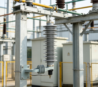 Parafoudre composite 30 kV à boîtier métallique pour lignes à oxyde métallique