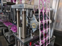 Machine d'emballage d'œufs en chocolat à grande vitesse DTOP DPP-420, machine d'emballage sous blister pour œufs surprise et œufs Joy, avec certificat CE