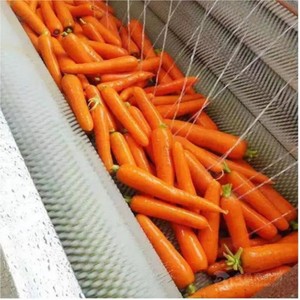 Laveuse-éplucheuse à rouleaux en acier inoxydable pour pommes de terre, légumes-racines et fruits, capacité 200 kg - Product Image 1