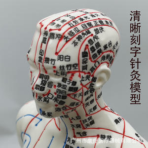 Modelo de acupuntura Huayikang, diagrama claro de meridianos y puntos de acupuntura humanos para práctica, reutilizable, clase I - Product Image 2