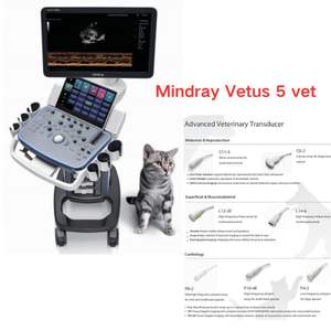 Mingray Vetus 5 troli, sistem <span class=keywords><strong>Ultrasound</strong></span> diagnostik 3D <span class=keywords><strong>4D</strong></span> Vetus 5exp warna Vet Doppler <span class=keywords><strong>Ultrasound</strong></span> dengan troli - Product Image 6