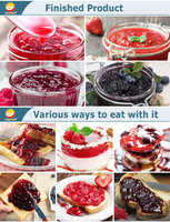 ORME Berry Fruit Jam Productielijn Tomatenpuree Rode Dadel Peer Mango Ananas Appeljam Verwerkings- en Productie-apparatuur