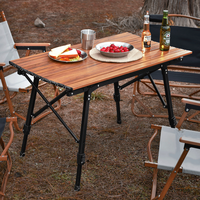 Table pliante portable en aluminium pour pique-nique, camping et plage, avec pieds extensibles et sac de transport