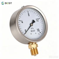 BCST YFT-110 Stainless Steel Analog Pressure Gauge 0.1~100Mpa Measurement Range