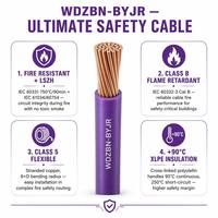 Kabel Bangunan Fleksibel Tahan Api XLPE WDZBN-BYJR LSZH |   450/750V Kelas B Tembaga Terpilin IEC 60331 750 ° C 90 menit Bebas Halogen